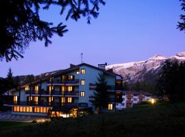 阿拉斯加酒店，位于佛加里达贝塞塔滑雪缆车附近的酒店