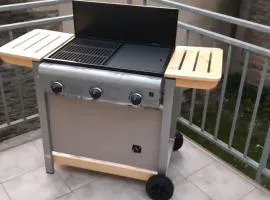 CHE F3 gauche Terrasse jardin barbecue hypercentre wifi