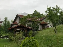 Hiša Krivopeta