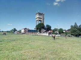 Hornický penzion，位于普日布拉姆的住宿加早餐旅馆