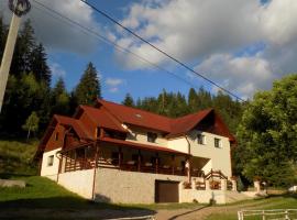 Pensiunea agroturistică Casa Brădeana，位于阿尔巴克的酒店