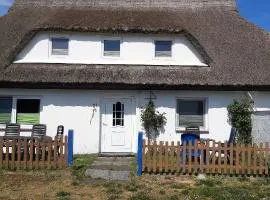 Ferienwohnungen Plogshagen_Hiddens