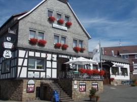 Hotel Medebach - Zum Schwanenkönig，位于梅德巴赫的酒店