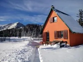 Orange House in nature