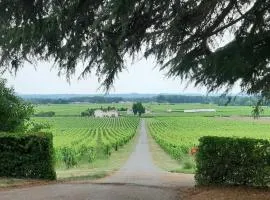 A L'OMBRE DE LA TREILLE -Proche Saint-Emilion