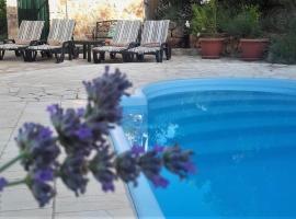 Lavender Hill Hvar Villa - pool, jacuzzi,sauna,BBQ，位于斯塔里格勒的酒店