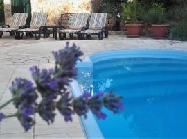 Lavender Hill Hvar Villa - pool, jacuzzi,sauna,BBQ，位于斯塔里格勒的酒店