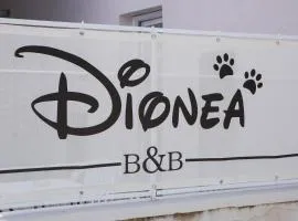 B&B Dionea