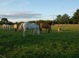 The Little Flock Farm，位于Cloonmore的酒店