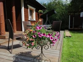 Ainja Puhkemaja，位于维尔扬迪的酒店