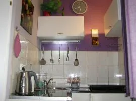 Apartament Dobra nocka