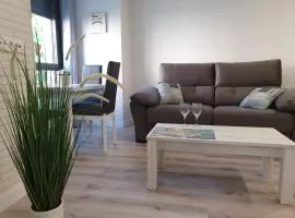 Apartamentos Aranda - La Villa