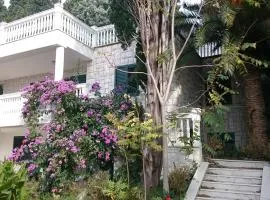 BG Villa Apartment XL
