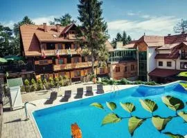 莫德滋维奥卡酒店