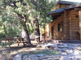 Sedona Log Cabin with Stunning Views, Close to Creek，位于塞多纳的酒店