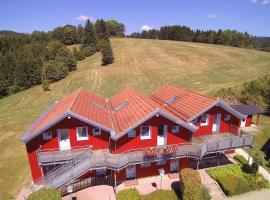 Village Hotel Bayerischer Wald，位于Neukirchen的酒店