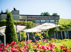 Holiday Apartment，位于Schwarzenberg的酒店