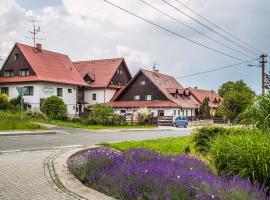 hotel U lip Trojanovice，位于弗雷斯塔帕若德霍斯特的酒店
