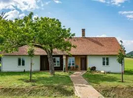 House of the Golden Horse in Hosszúréti Lovas Major