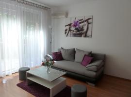 ROSE Apartman，位于德布勒森Debrecen Zoo and Amusement Park附近的酒店