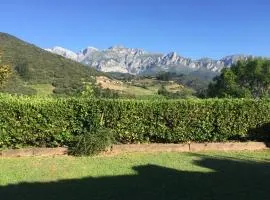 Mirador De Picos