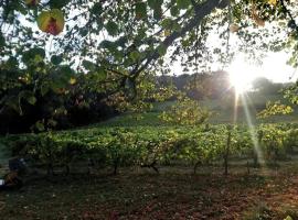 Château Régaldo-Saint Blancard，位于Salleboeuf的带停车场的酒店