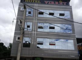 Gran Hotel Virrey，位于圣拉蒙的酒店