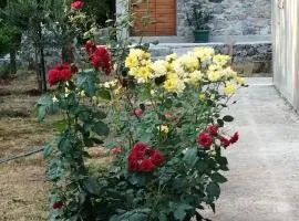 Apartman Aronia