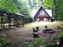 Slovak cottage near Bratislava in the heart of the Carpathians，位于莫德拉的酒店