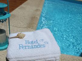 Hotel Fernandez，位于桑亨霍的酒店
