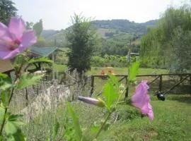 Le Spighe Agriturismo