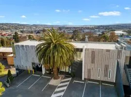 Areca Launceston