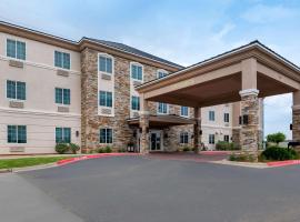 Comfort Inn & Suites, Odessa I-20，位于奥德萨的酒店