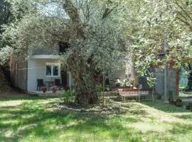 Apartments Radost