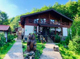 Chalet Vedmezhe，位于波利亚纳的酒店