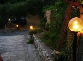 Gli ulivi della Monda