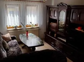 Ferienwohnung Schlothauer 1