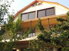 Resort Hotel BIJNISI，位于Surami的酒店