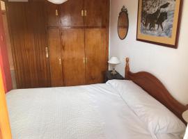 Apartamento céntrico en Formigal，位于福米加尔康塔尔附近的酒店