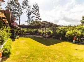Bodhi Hostel & Lounge