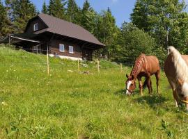 PANORAMA RANČ，位于Ježíci的木屋