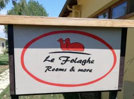 Agriturismo Le Folaghe，位于泰拉奇纳的乡村别墅