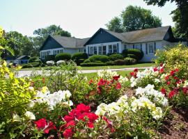 Lakeview Lodge and Cottages，位于卡文迪西的酒店