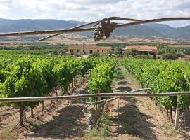 Agriturismo Campesi casale tra le vigne，位于阿列恩图的乡间豪华旅馆