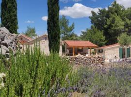 Lavender Dreams Cottage Hvar，位于斯塔里格勒的酒店