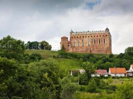 Zamek Golubski，位于戈卢布-多布任Golub-Dobrzyń Castle附近的酒店