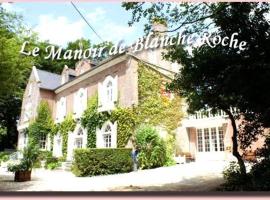 Chambres du Manoir de Blanche Roche，位于圣茹昂代盖雷特的酒店