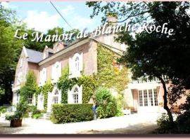 Chambres du Manoir de Blanche Roche，位于圣茹昂代盖雷特的家庭/亲子酒店