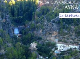 Casa rural La Libelula Ayna，位于艾纳的酒店