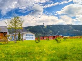 Aparthotel Klínovec Views，位于卢捷纳普德克利诺夫琴的酒店